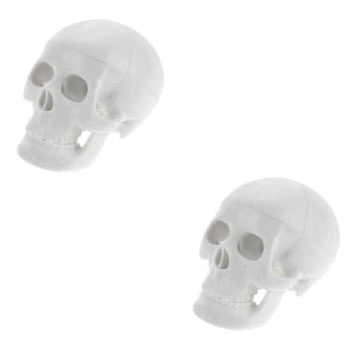 ULTECHNOVO 2St Schädelmodell Kopfmodell Anatomisches Modell Schädel Deko Schädel medizinisches Modell Schädelfiguren Modell der Schädelanatomie Halloween-Schädel- Anatomiemodell PVC Weiß von ULTECHNOVO