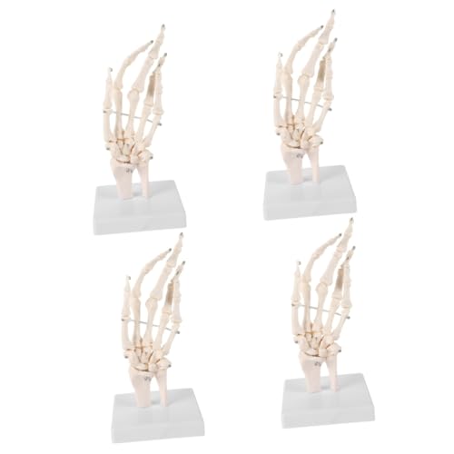 ULTECHNOVO 4 Stück Handknochengelenkmodell medizinisches anatomisches Modell menschliches handgelenkmodell Medizinisches Handknochenmodell Menschliches Skelettmodell handgelenk modell PVC von ULTECHNOVO