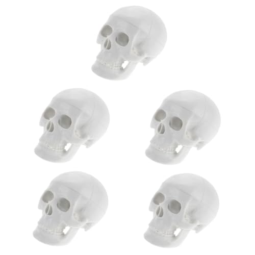 ULTECHNOVO 5St Schädelmodell Schädelfiguren realistischer menschlicher schädel Schädelknochenmodell Kopfmodell Anatomisches Modell realistischer Schädel Modell der Schädelanatomie PVC Weiß von ULTECHNOVO