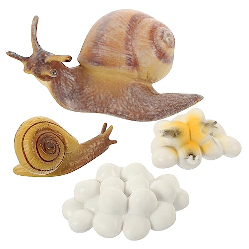 ULTECHNOVO Simuliertes Schneckenmodell Teilig Lebenszyklus Lernspielzeug für Pädagogisches Kognitives Naturwissenschaften Kunststoff Langlebig Sicher ULTECHNOVO Simuliertes Schneckenmodell Teilig Lebenszyklus Lernspielzeug für Pädagogisches Kognitives Naturwissenschaften Kunststoff Langlebig Sicher von ULTECHNOVO