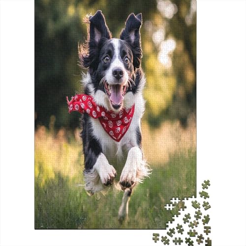 Border Collie Holzpuzzle Erwachsene, 1000 Teile Großes Holzpuzzle Für Erwachsene Und Kinder, Anzug Klassisches Puzzle Für Kinder Ab 12 Jahren Und Erwachsene 1000pcs (75x50cm) von UNRXJZLVM