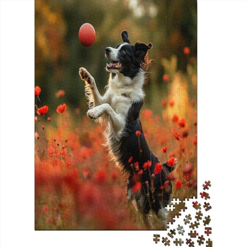 Border Collie Puzzle 1000 Teile Erwachsener Kniffel Spaß Für Die Ganze Familie - Abwechslungsreiche 1000 Puzzleteilige Motive Puzzle Erwachsene, Puzzel 1000pcs (75x50cm) von UNRXJZLVM