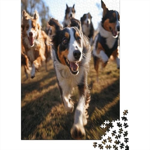 Border Collie Puzzle 1000 Teile Puzzles Für Erwachsene Lernspiel Herausforderungsspielzeug 1000-teilige Puzzlespiel Für Erwachsene Kinder Puzzel 1000pcs (75x50cm) von UNRXJZLVM