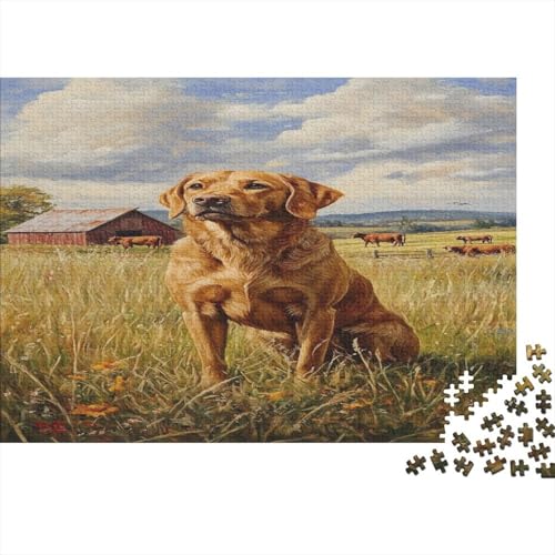 Irischer Setter Puzzle 1000 Teile, Puzzle Für Erwachsene, Impossible Puzzle, Geschicklichkeitsspiel Für Die Ganze Familie, Puzzle Farbenfrohes, Puzzle-Geschenk, Puzzle 1000pcs (75x50cm) von UNRXJZLVM