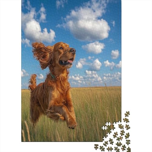 Irischer Setter Puzzle 1000 Teile Erwachsene Puzzles Für Erwachsene Klassische Puzzles 1000 Teile Erwachsene Puzzles Erwachsene 1000 Teile 1000pcs (75x50cm) von UNRXJZLVM