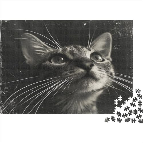 Tabby 1000 Stück Puzzle Für Erwachsene 1000 Stück Puzzle Für Erwachsene-Crazy Süßigkeiten-1000 Stück Puzzle Große Puzzles Kinder Lernspiel Für Die WanddekoRatteion Puzzel 1000pcs (75x50cm) von UNRXJZLVM