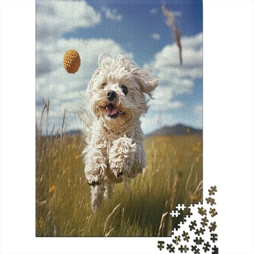 West Highland White Terrier Puzzlespiel 1000 Teile, Puzzle Erwachsene 1000 Teile, Impossible Puzzle Geschicklichkeitsspiel Für Die Ganze Familie, Puzzle Erwachsene 1000 Teile Puzzel 1000pcs (75x50cm) von UNRXJZLVM