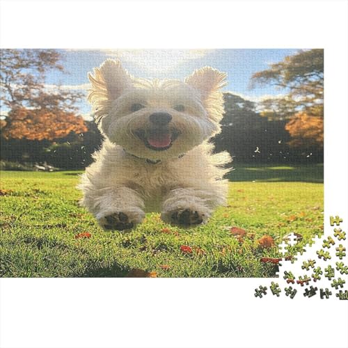 West Highland White Terrier Puzzlespiel 1000 Teile Puzzles Für Erwachsene Lernspiel Herausforderung Spielzeug 1000 Teile Puzzles Für Erwachsene Kinder Erwachsenen Puzzlespiel Puzzel 1000pcs (75x50cm) von UNRXJZLVM