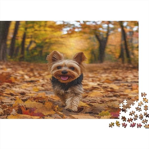 Yorkshire Terrier 1000 Teile, Impossible Puzzle,Geschicklichkeitsspiel Für Die Ganze Familie, Erwachsenenpuzzle Ab 14 Jahren Puzzel 1000pcs (75x50cm) von UNRXJZLVM