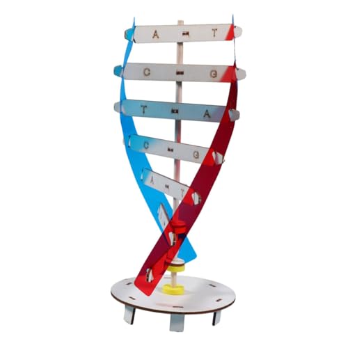 UPKOCH 1 Satz Genmodell Kinder lernspielzeug Science Toys DNA-Struktur Spielzeug Holzspielzeug DNA-Struktur Biologisches Lehrspielzeug Selbstbaumodell DNA-Modell aus Holz Colorful von UPKOCH