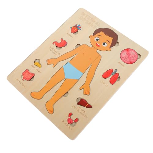 UPKOCH 1 Set Holzpuzzle Human Body Puzzle Für Lernspielzeug Zur Entdeckung Der Menschlichen Organe Montessori Ab 3 Jahren Pädagogisches Puzzle Für Jungen Und ädchen von UPKOCH