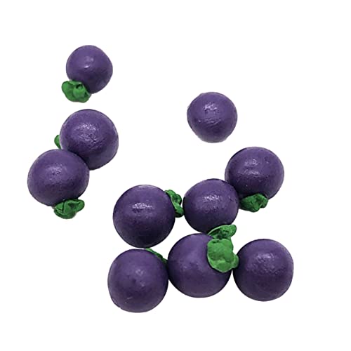 UPKOCH 10 STK Küche Obst Mangostan Prop Mini-schmuck-Miniatur- Mini-speisemodell Spielspielzeug Obst-Mangostan-Modell Violett von UPKOCH