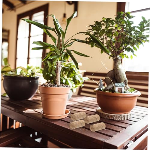 UPKOCH 12 Stück Teiliges Miniatur Heuballen Realistische Mini Heustapel Deko für Puppenhaus Herbstliche Gartenlandschaft Mini Bauernhof Modellbau Zubehör DIY Figuren Landschaftsdekoration UPKOCH 12 Stück Teiliges Miniatur Heuballen Realistische Mini Heustapel Deko für Puppenhaus Herbstliche Gartenlandschaft Mini Bauernhof Modellbau Zubehör DIY Figuren Landschaftsdekoration von UPKOCH