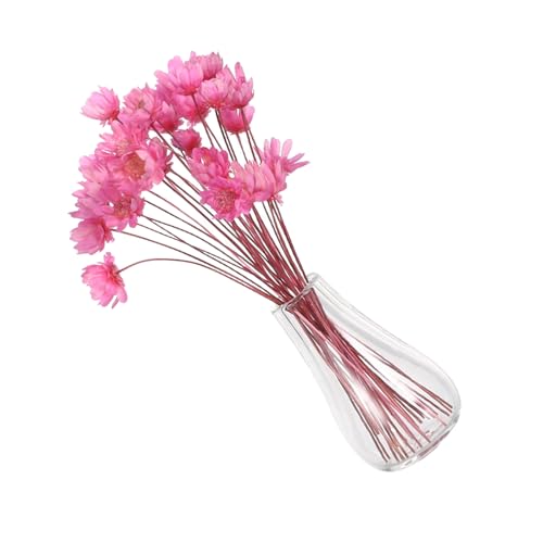 UPKOCH 2 Stück Teiliges Getrocknete Blumen in Glasvasen Miniatur-Dekoration mit Winzigen Trockenblumen für Puppenhaus-zubehör Mini-Pflanzen und Kreative Wohnraumgestaltung UPKOCH 2 Stück Teiliges Getrocknete Blumen in Glasvasen Miniatur-Dekoration mit Winzigen Trockenblumen für Puppenhaus-zubehör Mini-Pflanzen und Kreative Wohnraumgestaltung von UPKOCH