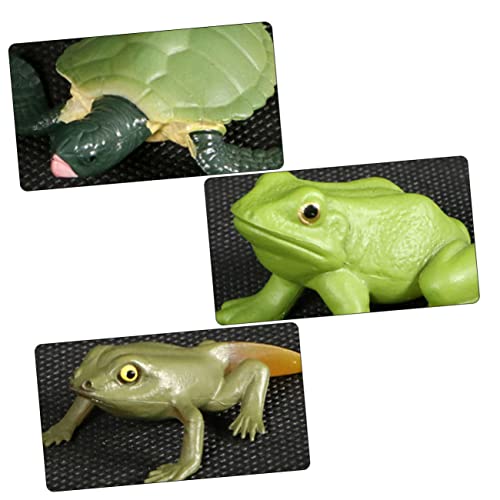 UPKOCH 2Sätze Tier Evolutionsmodelle Frosch Schildkröte Dekorationsfiguren Für Realistische Simulation Für Lernspielzeug Und Tierdarstellung von UPKOCH