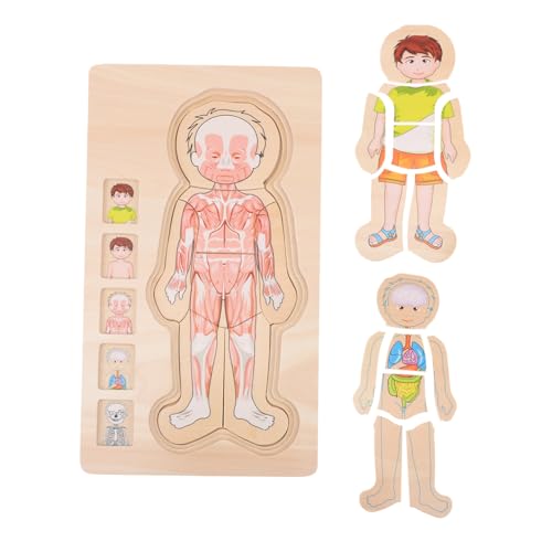 UPKOCH Mehrschichtiges Holzpuzzle Lernspielzeug für Cartoon Körperstruktur Motorikförderndes Montessori für Jungen und Mädchen Sicher und Langlebig Fördert Vorstellungskraft und Hand UPKOCH Mehrschichtiges Holzpuzzle Lernspielzeug für Cartoon Körperstruktur Motorikförderndes Montessori für Jungen und Mädchen Sicher und Langlebig Fördert Vorstellungskraft und Hand von UPKOCH