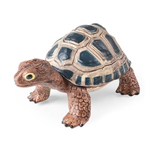 Detaillierte Schildkröte Figur Modell pädagogisches Display Widget Miniatur Lernspielzeug Figur von Uitndvyte