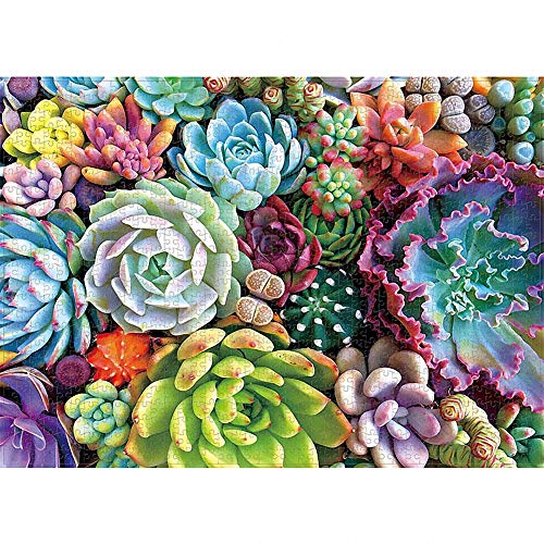 1000 Stück Puzzle - Succulents - Erwachsene Teenager Kinder Puzzle Großes Puzzle Spielzeug Geschenk Pädagogisch Intellektuell Dekomprimieren Spaß Familienspiel von Ulalaza