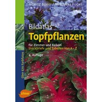 Topfpflanzen von Ulmer Eugen Verlag