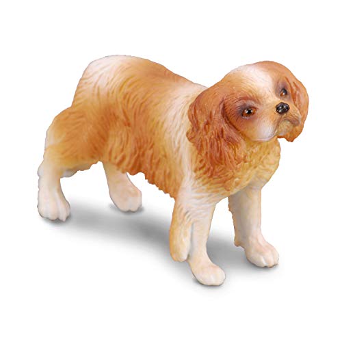 Pies rasy Spaniel Cavalier King Charles von Collecta