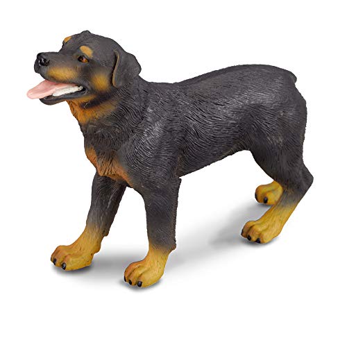 Collecta – Col88189 – Rottweiler – Größe L von Collecta