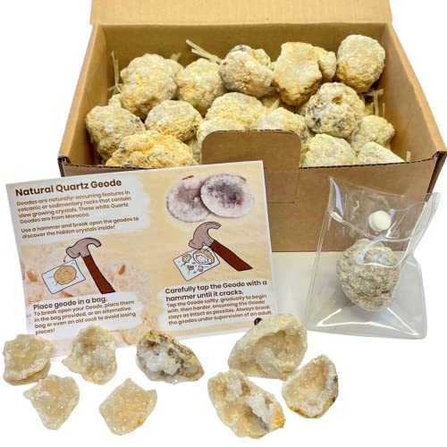 Fossil Gift Shop Break Your Own Geodes (1 kg Bumper-Packung) von Fossil Gift Shop