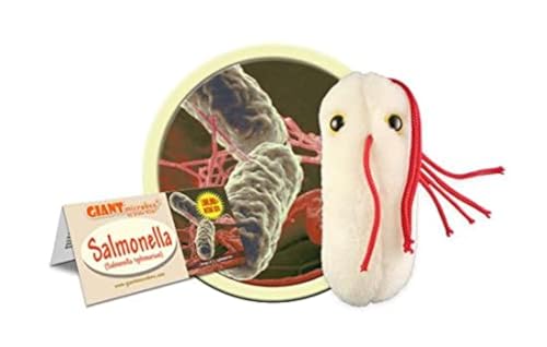 Plush Microbe: Salmonella von GIANTmicrobes