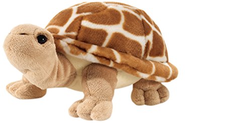 Plush & Company – 15764 – Plüsch – Shinobi Schildkröte – 28 cm von Plush & Company