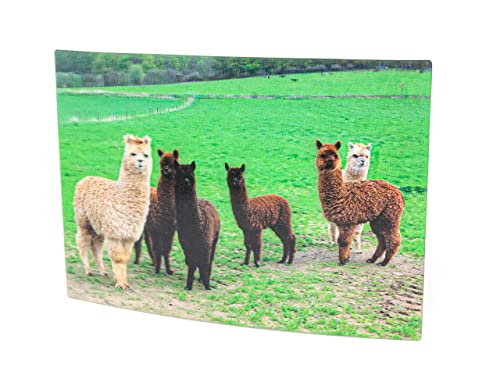 Cornelissen 1037359 Alpaka 3D-Postkarte von Cornelissen