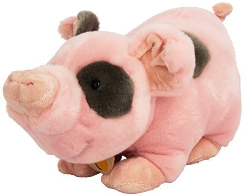 Plüsch Plüschtiere & Company 05918 – – Pig rovys – 33 cm von Plush & Company