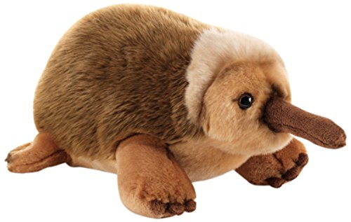 Plüsch Plüschtiere & Company 15849 – Edith – Echidna – 30 cm von Plush & Company