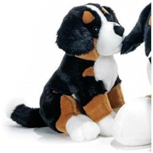 Plush Company Plüschtier & 15723 Kid Bernese Hunde, 29 cm von Plush & Company