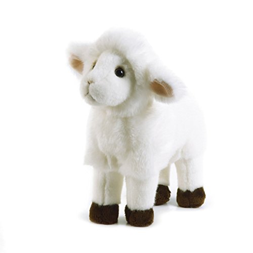 Plush & Company 05927 Plush and Company Lamberto Lamb Plüschtier, 27,5 cm, merhfarbig von Plush & Company