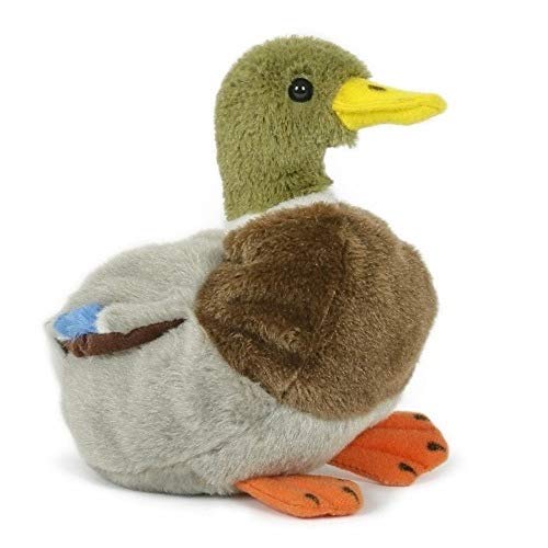 Unbekannt Stofftier Ente 18 cm, Kuscheltier Plüschtier, Erpel, Enten Entchen von Unbekannt