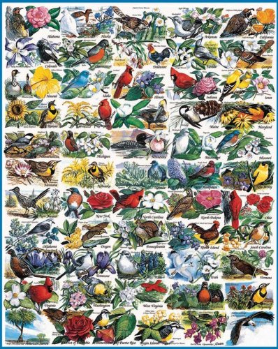 White Mountain Puzzles Jigsaw Puzzle 1000 Pieces 24"X30"-State Birds & Flowers White Mountain Puzzles Jigsaw Puzzle 1000 Pieces 24"X30"-State Birds & Flowers von White Mountain