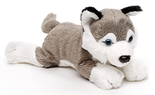 Uni-Toys - Husky Plushie (ohne Leine) - 22 cm (Länge) - Plüsch-Hund, Haustier - Plüschtier, Kuscheltier von Uni-Toys