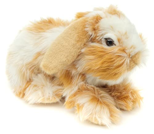Uni-Toys - Löwenkopf-Kaninchen mit hängenden Ohren - liegend - Gold-weiß gescheckt - 23 cm (Länge) - Plüsch-Hase - Plüschtier, Kuscheltier von Uni-Toys