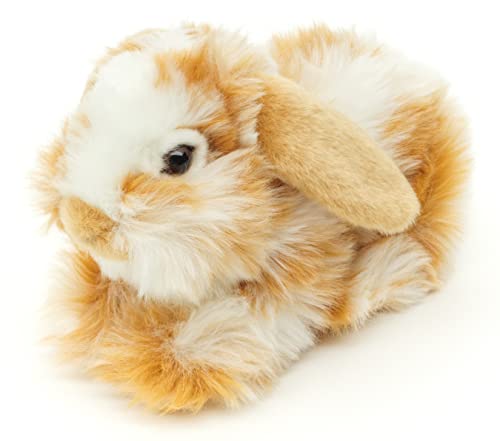 Uni-Toys - Löwenkopf-Kaninchen mit hängenden Ohren - liegend - Gold-weiß gescheckt - 23 cm (Länge) - Plüsch-Hase - Plüschtier, Kuscheltier von Uni-Toys