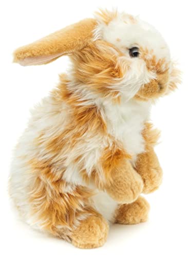 Uni-Toys - Löwenkopf-Kaninchen mit hängenden Ohren - stehend - Gold-weiß gescheckt - 23 cm (Höhe) - Plüsch-Hase - Plüschtier, Kuscheltier von Uni-Toys