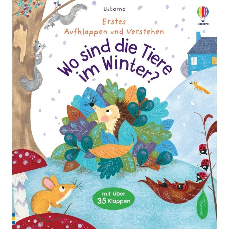 Erstes Aufklappen und Verstehen: Wo sind die Tiere im Winter? von Usborne Verlag