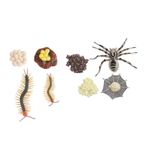 VALICLUD 2 Sätze Tierische Lebenszyklus Modelle Tarantula und Hundertfüßer Lernspielzeug Biologie Lernhilfe Realistische Kunststofffiguren Dekoration VALICLUD 2 Sätze Tierische Lebenszyklus Modelle Tarantula und Hundertfüßer Lernspielzeug Biologie Lernhilfe Realistische Kunststofffiguren Dekoration von VALICLUD