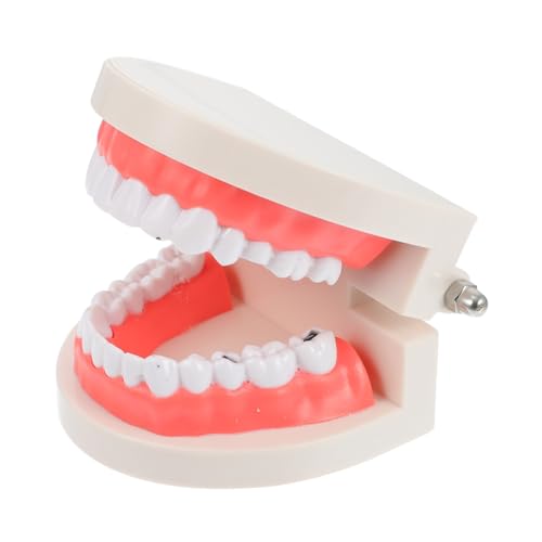 VALICLUD Kinderzahnpflege Modell Zahnbürsten Lernspielzeug Karies Zahnputztraining für Vorschulkinder Zahnpflegemodell für Kindergarten und Schule Sicher Langlebig Motorische VALICLUD Kinderzahnpflege Modell Zahnbürsten Lernspielzeug Karies Zahnputztraining für Vorschulkinder Zahnpflegemodell für Kindergarten und Schule Sicher Langlebig Motorische von VALICLUD