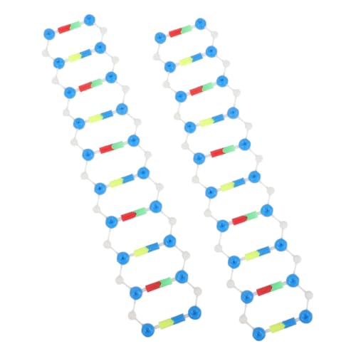 VANZACK 2 Stück DNA Doppelhelix Strukturmodell Molekulares Lehrmodell für Biologie und Vererbungslehre Unterricht Interaktives Wissenschaftsset zur Veranschaulichung Genetischer Vererbung VANZACK 2 Stück DNA Doppelhelix Strukturmodell Molekulares Lehrmodell für Biologie und Vererbungslehre Unterricht Interaktives Wissenschaftsset zur Veranschaulichung Genetischer Vererbung von VANZACK
