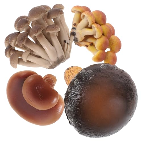 VANZACK 4 Stück Teiliges Pilzwachstum Phasen Modelle aus Leichtem PVC Realistische Pilz Lernspielzeuge für Pädagogische Naturwissenschafts Spielzeuge Neugier und Biologischem Verständnis VANZACK 4 Stück Teiliges Pilzwachstum Phasen Modelle aus Leichtem PVC Realistische Pilz Lernspielzeuge für Pädagogische Naturwissenschafts Spielzeuge Neugier und Biologischem Verständnis von VANZACK