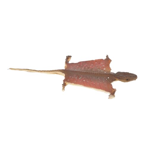 VANZACK Gecko Dekorationsmodell Halloween Dekor Streich Requisiten Reptil Künstliches Reptilien Ornament Tierfiguren Reptilienfiguren Dekoration Wand Kriechendes Gecko VANZACK Gecko Dekorationsmodell Halloween Dekor Streich Requisiten Reptil Künstliches Reptilien Ornament Tierfiguren Reptilienfiguren Dekoration Wand Kriechendes Gecko von VANZACK