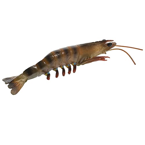 VANZACK Realistisches Meerestiere Krabbenmodell aus Hochwertigem Kunststoff Pädagogisches und Lustiges Kinderzubehör Detailreiches Lernspielzeug für Jungen und Mädchen als VANZACK Realistisches Meerestiere Krabbenmodell aus Hochwertigem Kunststoff Pädagogisches und Lustiges Kinderzubehör Detailreiches Lernspielzeug für Jungen und Mädchen als von VANZACK