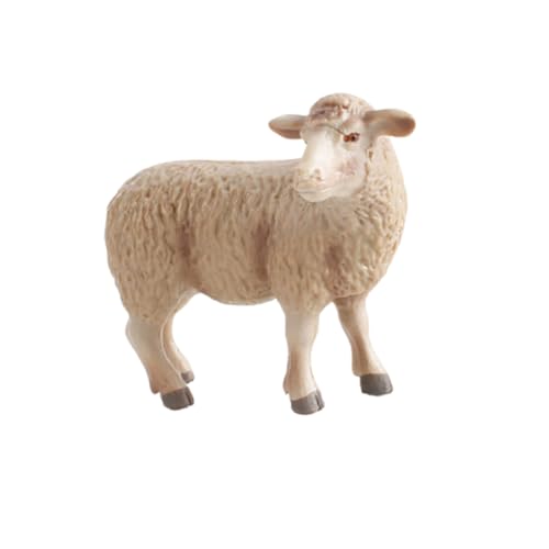 VANZACK Realistisches Schafmodell aus Kunststoff Lebensechte Tierdekoration Detailgetreues Kreatives Schaf Ornament für Kinderzimmer Pädagogisches und Dekoratives Desktop Accessoire Beige VANZACK Realistisches Schafmodell aus Kunststoff Lebensechte Tierdekoration Detailgetreues Kreatives Schaf Ornament für Kinderzimmer Pädagogisches und Dekoratives Desktop Accessoire Beige von VANZACK
