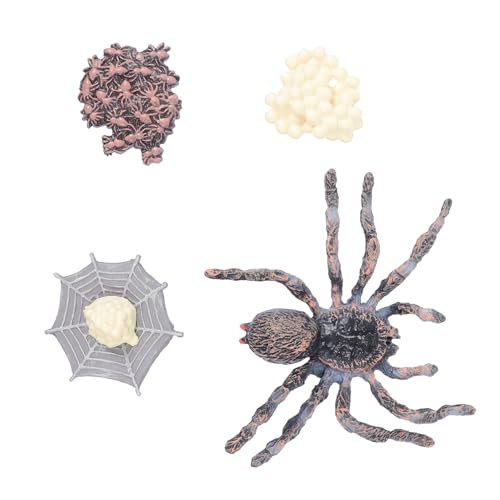 VANZACK Simuliertes Tierfiguren Set Lebenszyklus Modell Umweltfreundlich Kunststoff Pädagogisch für Lernspielzeug Kreatives Wachstumszyklus Tierfiguren Set VANZACK Simuliertes Tierfiguren Set Lebenszyklus Modell Umweltfreundlich Kunststoff Pädagogisch für Lernspielzeug Kreatives Wachstumszyklus Tierfiguren Set von VANZACK