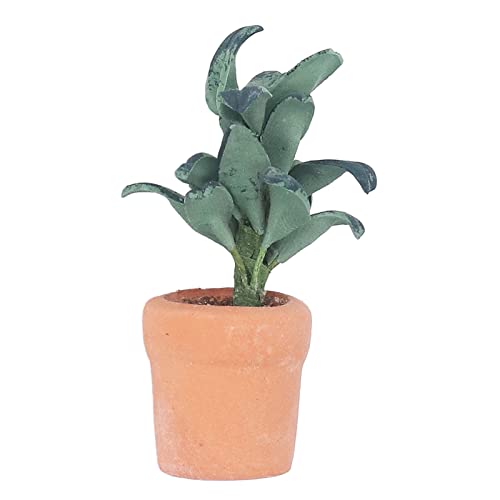Vbestlife Puppenhaus-Pflanzen-Requisiten, Maßstab 1:12, Miniatur, Winzige Topfpflanze, DIY-Herstellung von Topfpflanzen, Schmuck-Dekoration für Puppenhaus, Puppenhaus-Zubehör Vbestlife Puppenhaus-Pflanzen-Requisiten, Maßstab 1:12, Miniatur, Winzige Topfpflanze, DIY-Herstellung von Topfpflanzen, Schmuck-Dekoration für Puppenhaus, Puppenhaus-Zubehör von VBESTLIFE