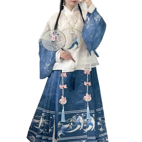 VDCVADKYE Chinesisches Hanfu-Kleid, Hanfu-Robe aus der Ming-Dynastie mit Rundhalsausschnitt, bestickte Pipa-Ärmel, Pferdegesichtsrock, Kleid im Nationalstil(Large) von VDCVADKYE